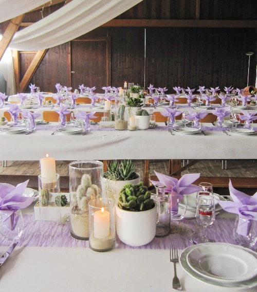 Mariage Violet et Vert Mexicain 1.jpg